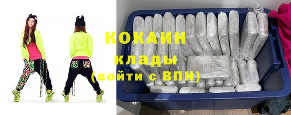 гидра Богородицк