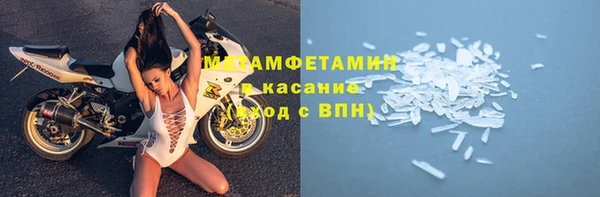 гидра Богородицк