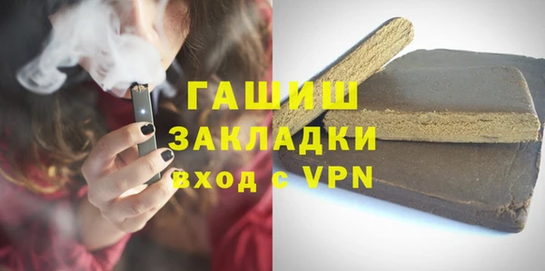 гидра Богородицк
