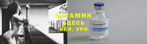 гидра Богородицк