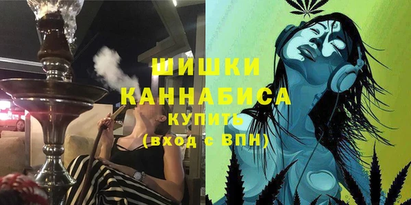 гидра Богородицк