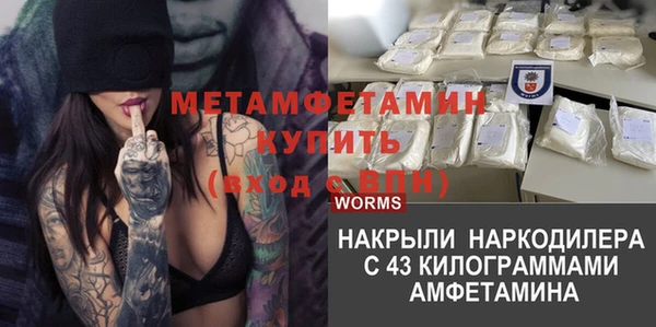гидра Богородицк