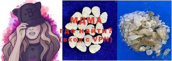 гидра Богородицк