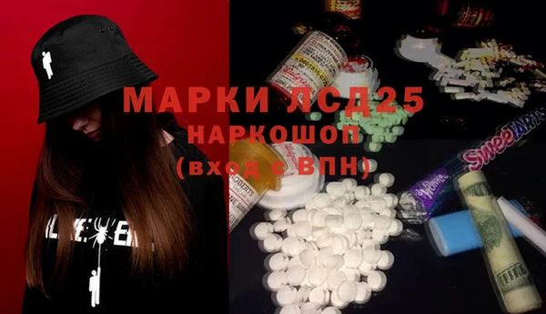 гидра Богородицк
