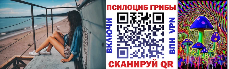 Псилоцибиновые грибы мухоморы  Купить  Полярный 