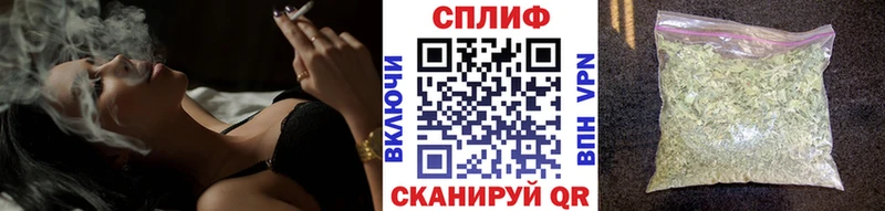 Канабис сатива  Купить  Полярный 